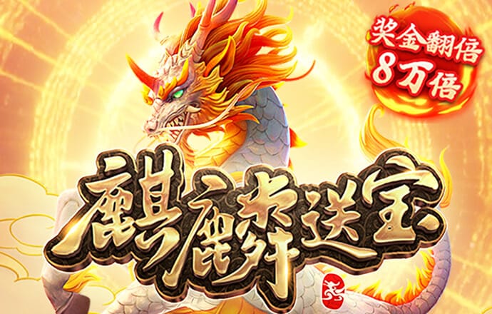 中欧体育kok入口app